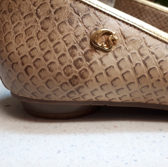 Carmen Steffens shoes - Picture 4 of 6